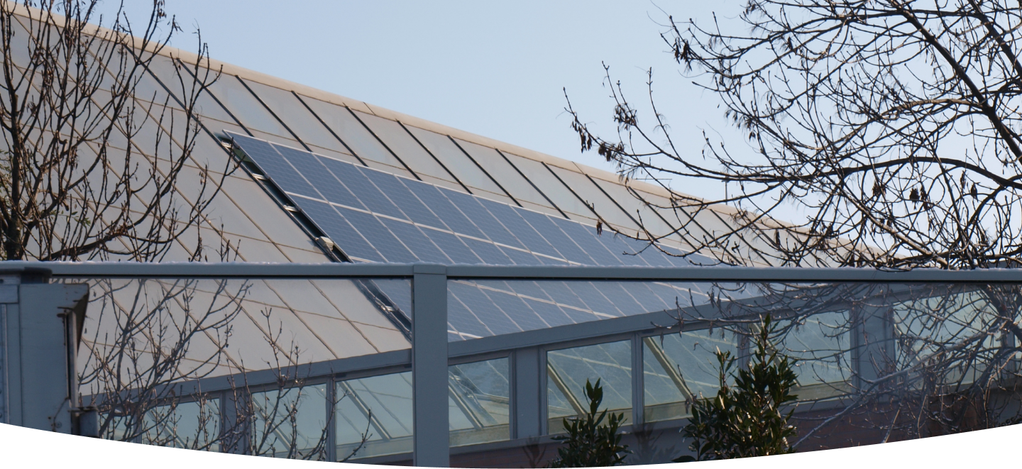 vista tetto con pannelli solari
